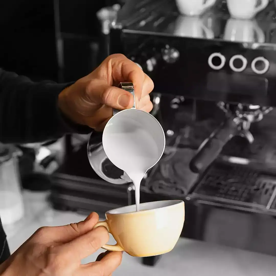 SCA ve MEB Sertifikalı Barista Eğitimi